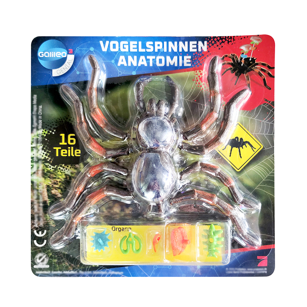 Assembled Spider